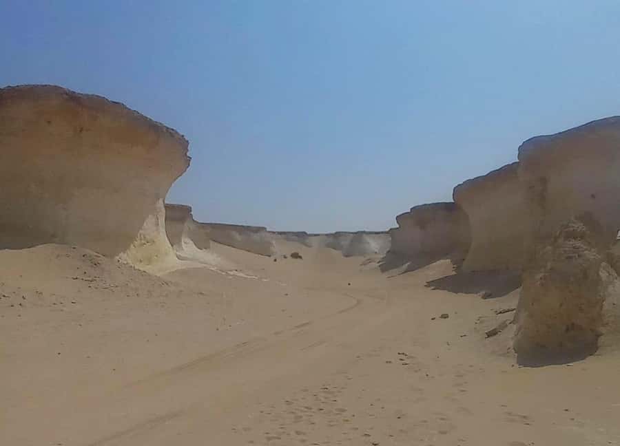 Doha: West Coast Qatar Tour, Sculptures, Camel Racing track - Is $35 a Fair Price?