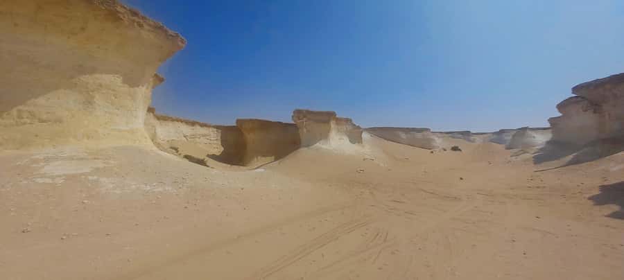 Doha: West Coast Qatar Tour, Sculptures, Camel Racing track - Practical Details That Improve the Day