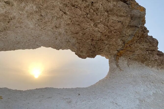 Doha : West Coast Tour on Zekreet Peninsula - Who will enjoy this outing most?
