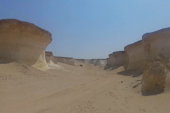 Doha: West Coast Tour , Richard Serra Sculpture, Zekreet - Who should book this west coast tour?