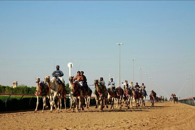 Doha: West Coast Tour Sculpture,Camel Racing Track Rock Formation - Why Qatar’s west coast makes a worthwhile half-day