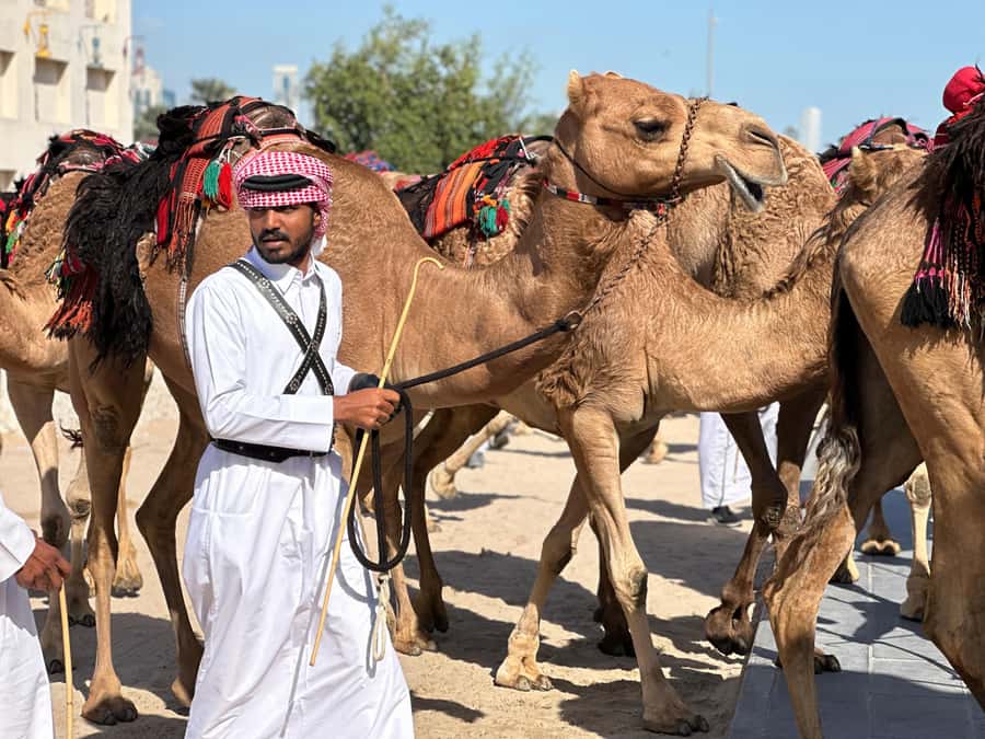 Doha: West Qatar Guided Journey With Pickup & Drop-Off - Zekreet’s limestone formations and Eye Rock