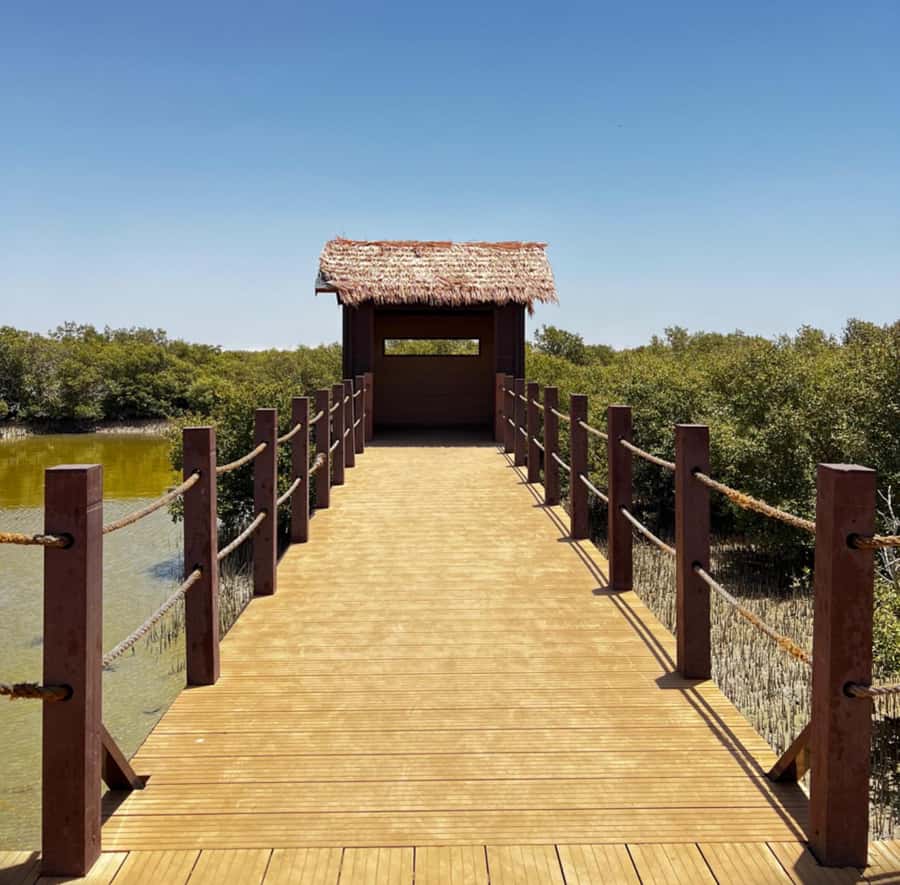 Doha: Zubara UNESCO Site, Mangroves & Jumail Village - Coastal views at Shadows Travelling on the Sea of the Day