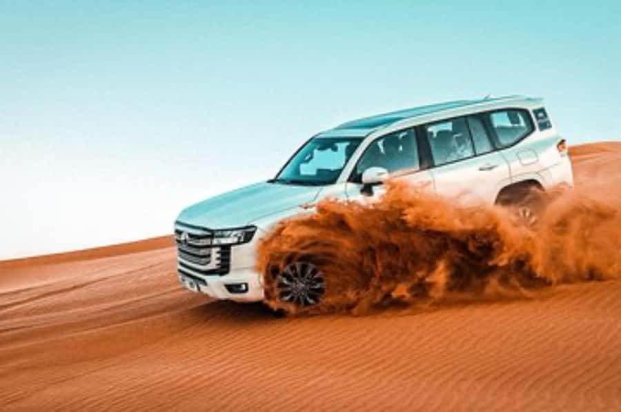 Dune Bashing &Beyond The Ultimate Desert Safari From Doha - The guides can shape the whole outing