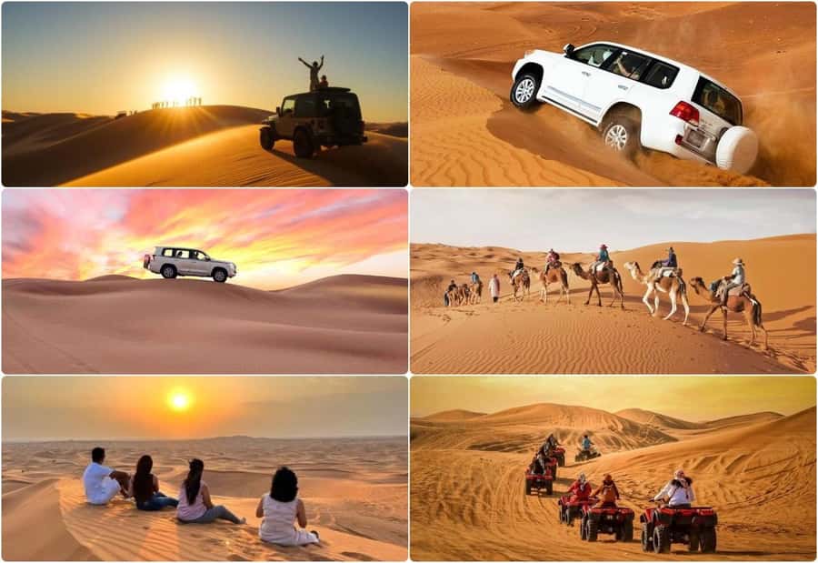 Dune Bashing &Beyond The Ultimate Desert Safari From Doha - Safety, comfort, and what to bring