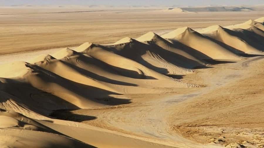 Dune Bashing, Sandboarding, Camel Ride & Optional ATV Ride - Leaving Doha for Mesaieed