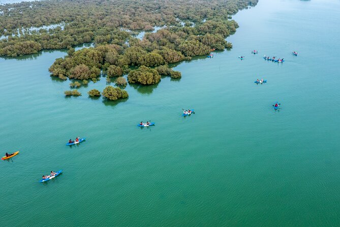 Eco Kayaking Adventure – Mangrove Exploration at Purple Island - The Purple Island story adds a cultural layer