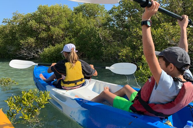 Eco Kayaking Adventure – Mangrove Exploration at Purple Island - Is $75 a fair price?