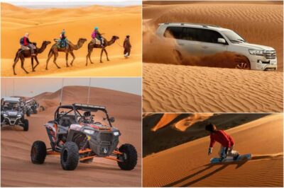 Explore desert Qatar: Off-Road Adventures, dune bashing Tour