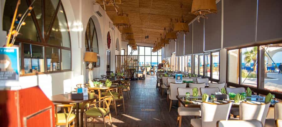From Doha: 8-hour Safari Tour with Desert Beach Experience - How the $192 price measures up