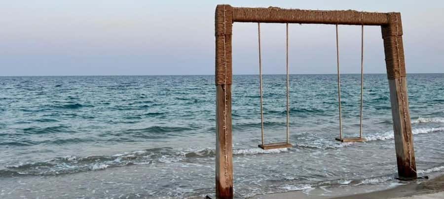 From Doha: 8-hour Safari Tour with Desert Beach Experience - Should you book this desert beach day?