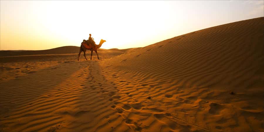 From Doha: 8-hour Safari Tour with Desert Beach Experience - Dune bashing toward Khor Al Adaid