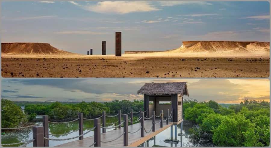 From Doha: Culture & History Qatar Tour to the North & West - Why this day trip works beyond Doha