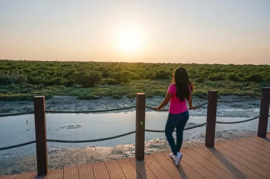 From Doha: Full-Day Tour to Qatar North and West - Driving time, comfort, and the pace of the day