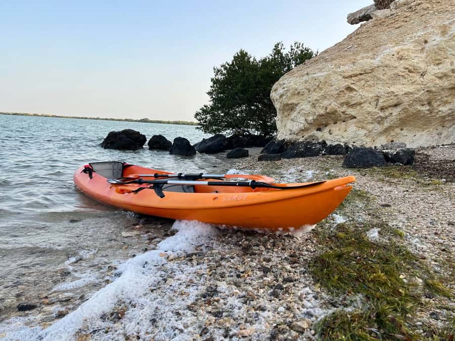 From Doha: Mangroves Kayaking Adventure - Why Al Thakira is worth the trip from Doha