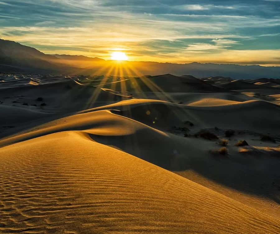 From Doha: Sunrise or Sunset Safari with Sand Boarding - Key points to know before you go