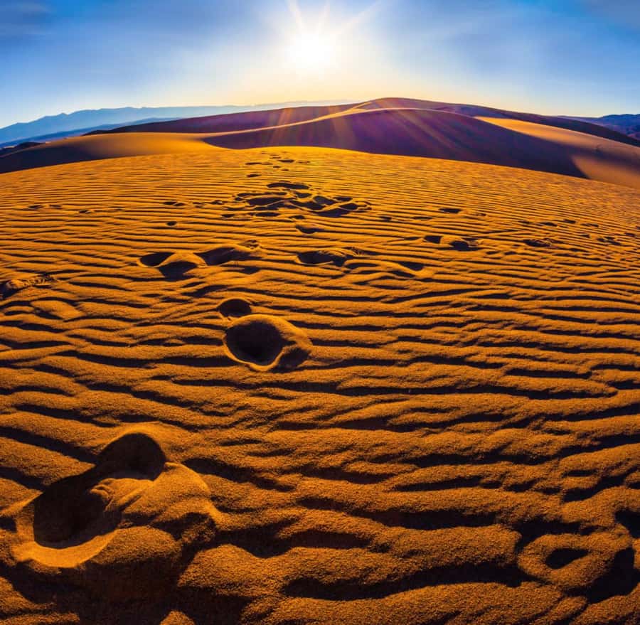 From Doha: Sunrise or Sunset Safari with Sand Boarding - Why this four-hour desert trip works