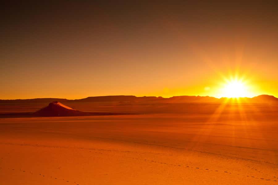 From Doha: Sunrise or Sunset Safari with Sand Boarding - The camel camp and optional falcon photos