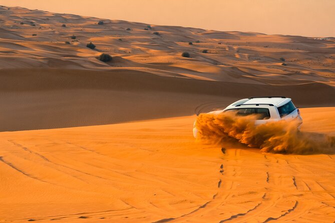 Full-Day Desert Safari with Buffet Dinner || Inland Sea Visit - Key things to know before booking