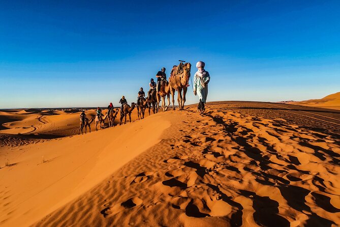 Full-Day Desert Safari with Buffet Dinner || Inland Sea Visit - Dinner, drinks, and the value of $194