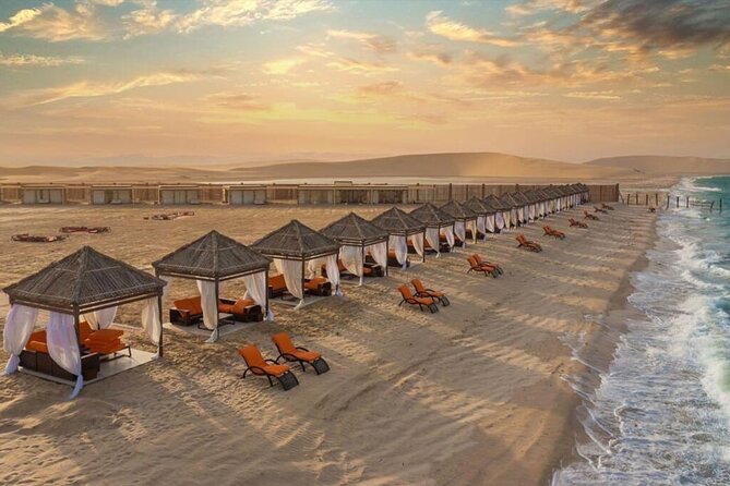 Full-Day Desert Safari with Buffet Dinner || Inland Sea Visit - Camels, falcons, and the Bedouin-style camp