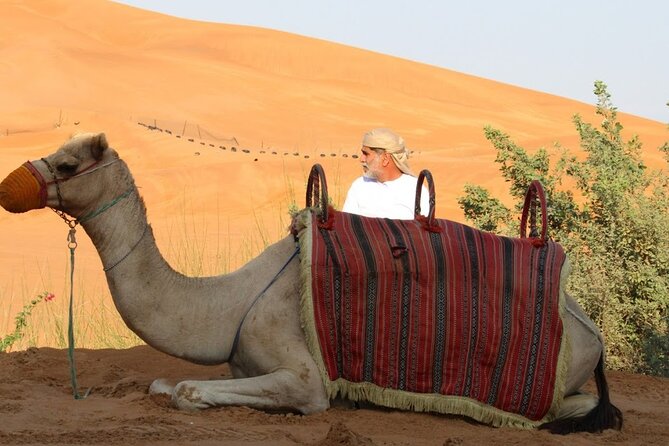 Full Day Desert Safari with Camp Access, Buffet Dinner,Camel Ride - Khor Al Udaid, where sea reaches the dunes