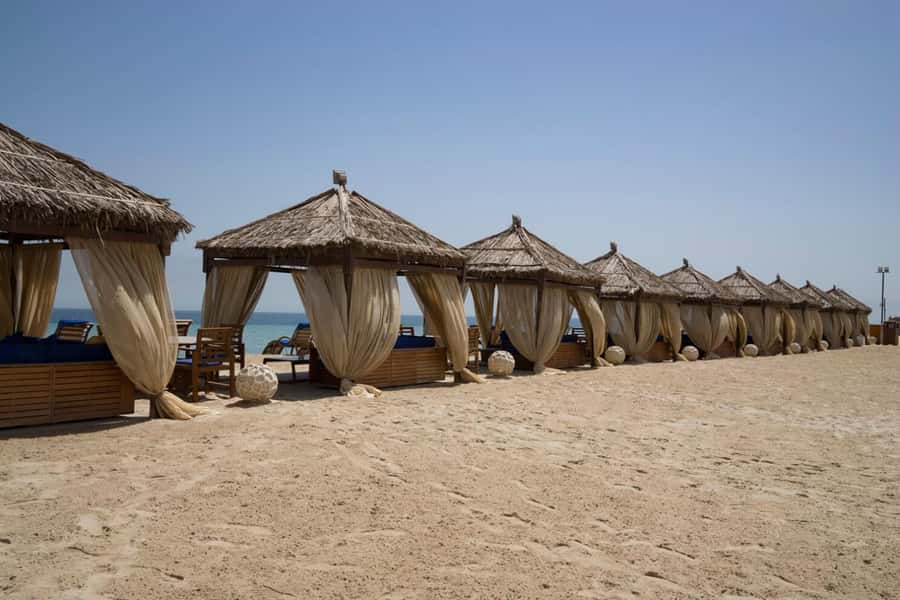 Full day desert safari with lunch or Dinner - The guide can shape the whole experience
