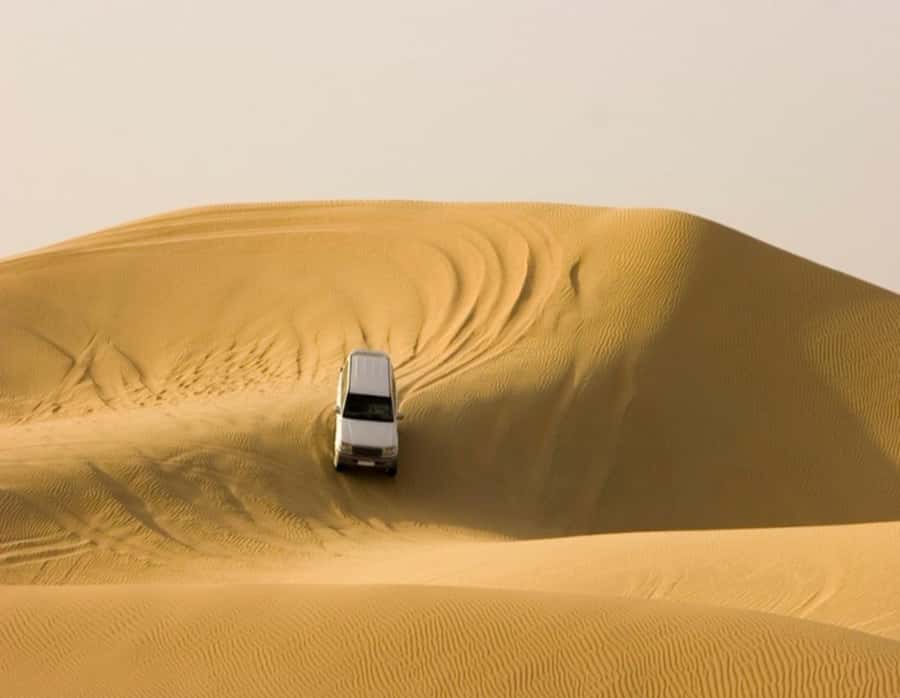 Full day desert safari with lunch or Dinner - Timing: the detail you should clarify first