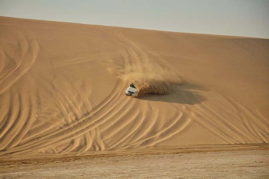 Full day desert safari with lunch or Dinner - Who should book this safari?