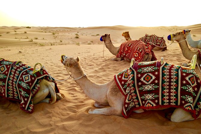 Full-Day DesertSafari with Camel Ride,InlandSea & BBQ Desert Camp - Dune bashing and sandboarding in the middle of the dunes