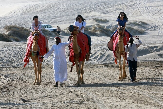 Full-day Qatar desert safari: dune bashing, sandboarding, camels - Why this eight-hour outing works so well