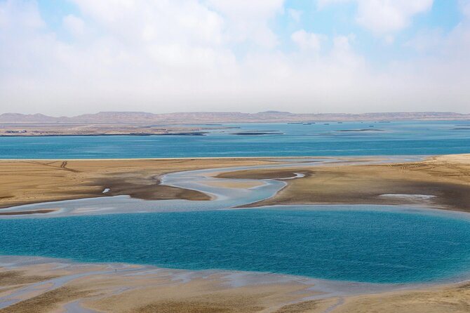 Full Day Qatar North and Desert Safari with pickup - Al Thakira: mangroves beside the desert