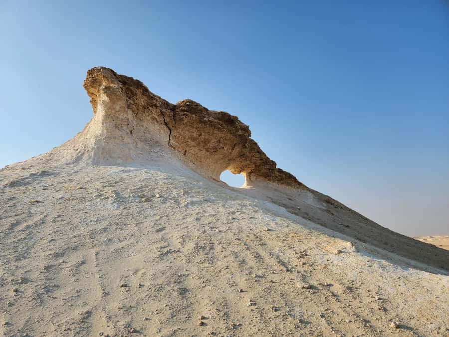 Full Day Tour to Qatar North and West / History and Heritage - Mangroves and Open Views at Purple Island
