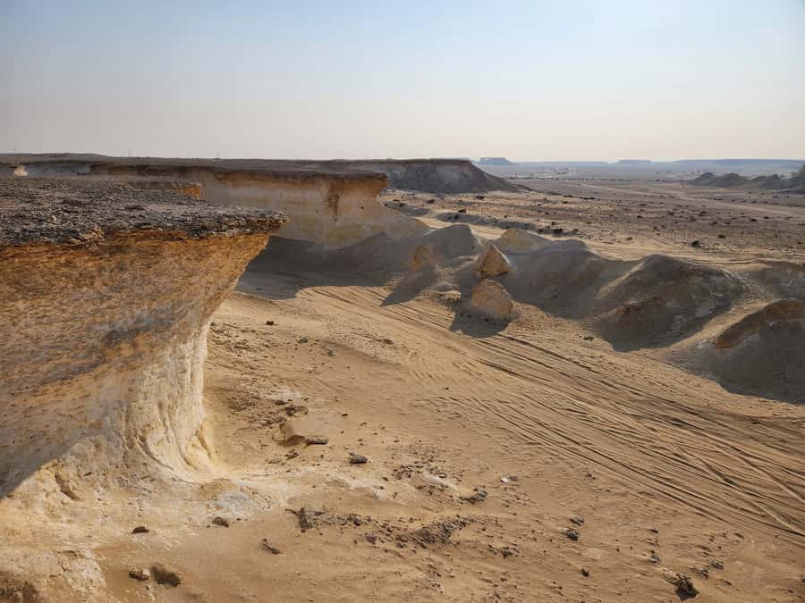 Full Day Tour to Qatar North and West / History and Heritage - What the $136 Price Includes