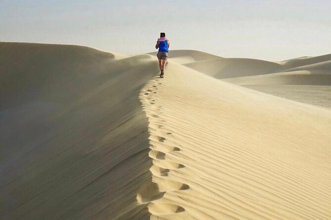 Half Day Desert Safari and Inland Sea - Is $50.80 a Fair Price?