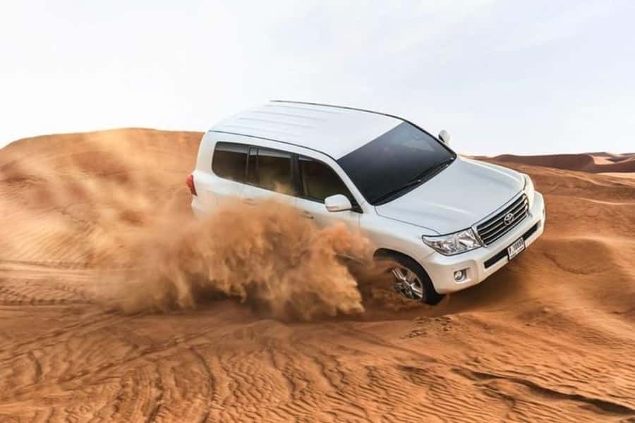 Half-Day Desert Safari For Cruise Ships Passngers. - A smart shore excursion from Doha’s cruise port
