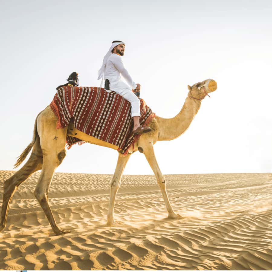 Half-Day Desert Safari For Cruise Ships Passngers. - What the $29 price really covers