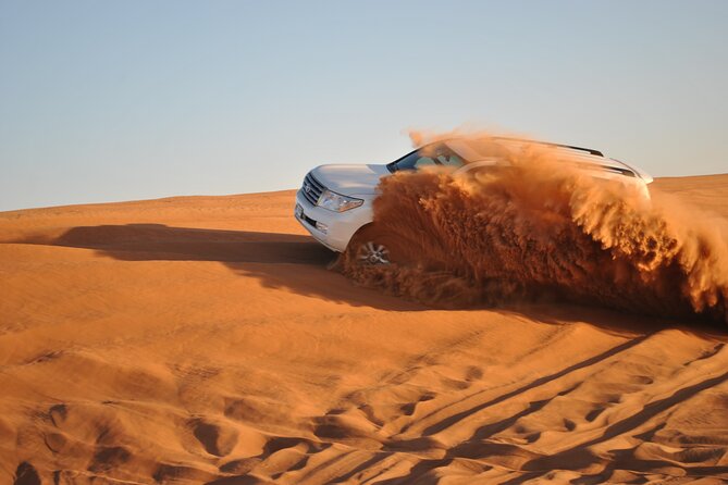 Half Day Desert Safari with Sand Boarding and Camel Ride - A camel ride with a different pace