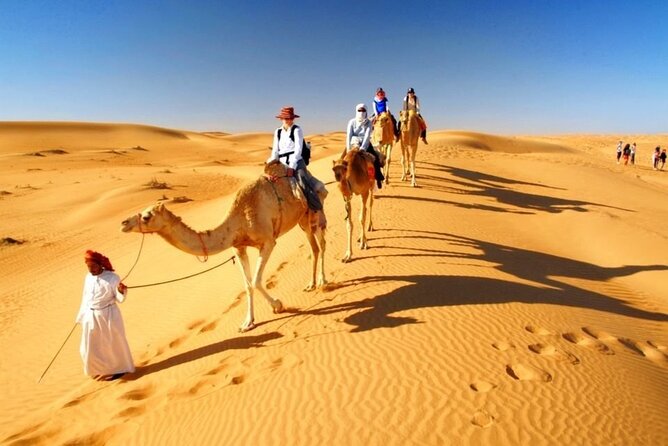 Half Day Desert Safari with Sand Boarding and Camel Ride - Who will enjoy this four-hour outing