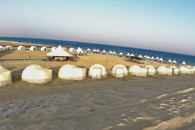 Half Day Desert Tour with Camel Ride - Quick take: what matters most