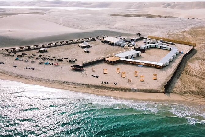 Half Day Desert Tour with Camel Ride - What the $274.72 price buys you