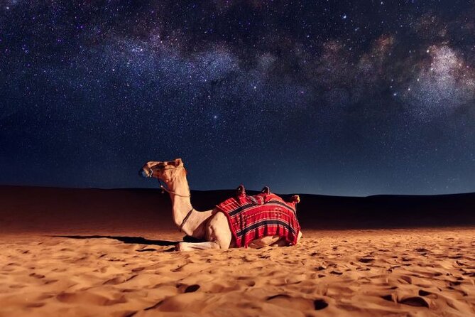 Half Day Night and Morning Desert Safari Camel and Sand Boarding - Why This Four-Hour Safari Works for a Short Doha Visit