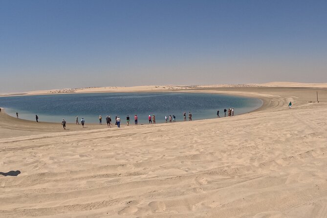 Half Day Night and Morning Desert Safari Camel and Sand Boarding - What the $73 Price Really Buys