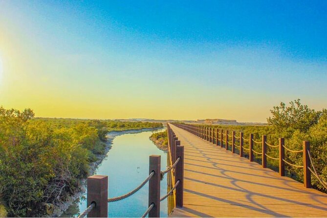 Half-Day North Qatar Tour - Purple Island and the ancient coastal site