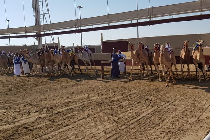 Half-Day Private Guided Camel Race Tour in Qatar - Why Al Shahaniya is worth the trip from Doha
