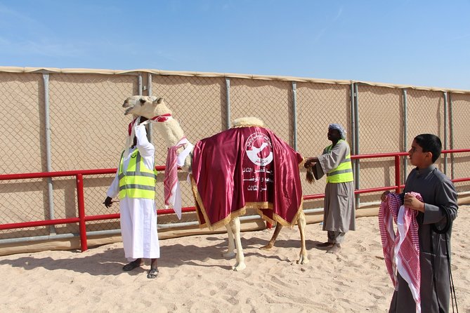 Half-Day Private Guided Camel Race Tour in Qatar - Why the guide can make or break the morning