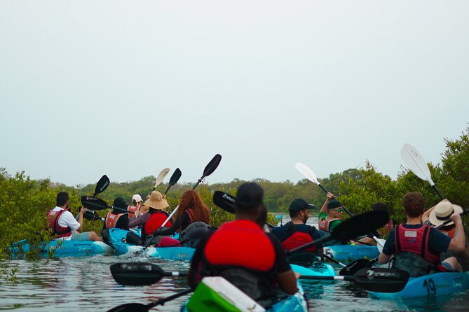 Kayak Through the Mangroves to the Purple Island - Reaching Purple Island from Doha