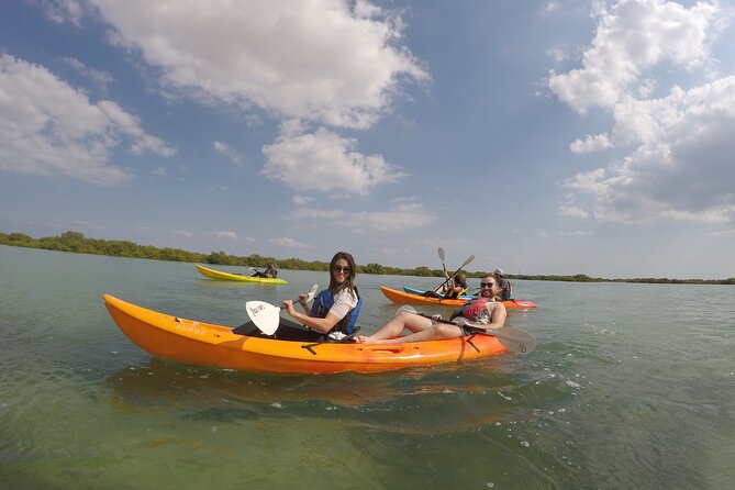 Mangrove Kayaking Purple Island Adventure - Reaching Purple Island from Doha