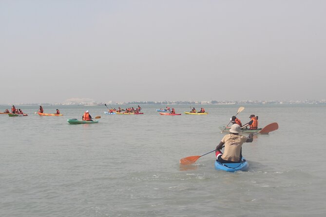 Mangrove Kayaking Purple Island Adventure - Why the guide can make or break the trip