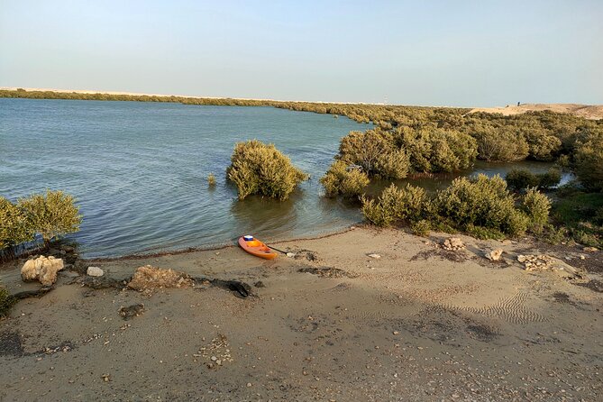 Mangrove Kayaking Purple Island Adventure - Safety, weather, and the tide
